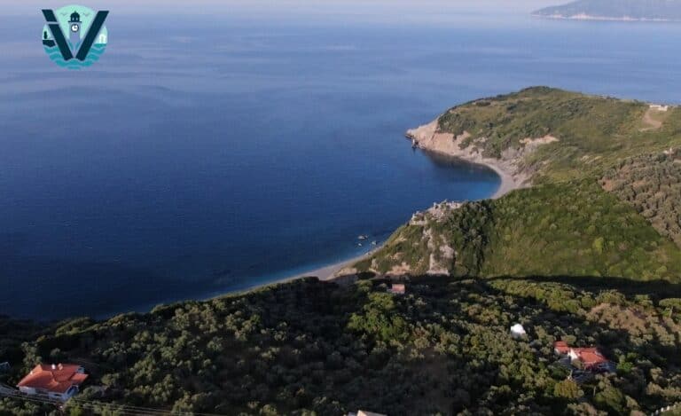 Όταν το δάσος… θυμήθηκαν όλοι να το δουν