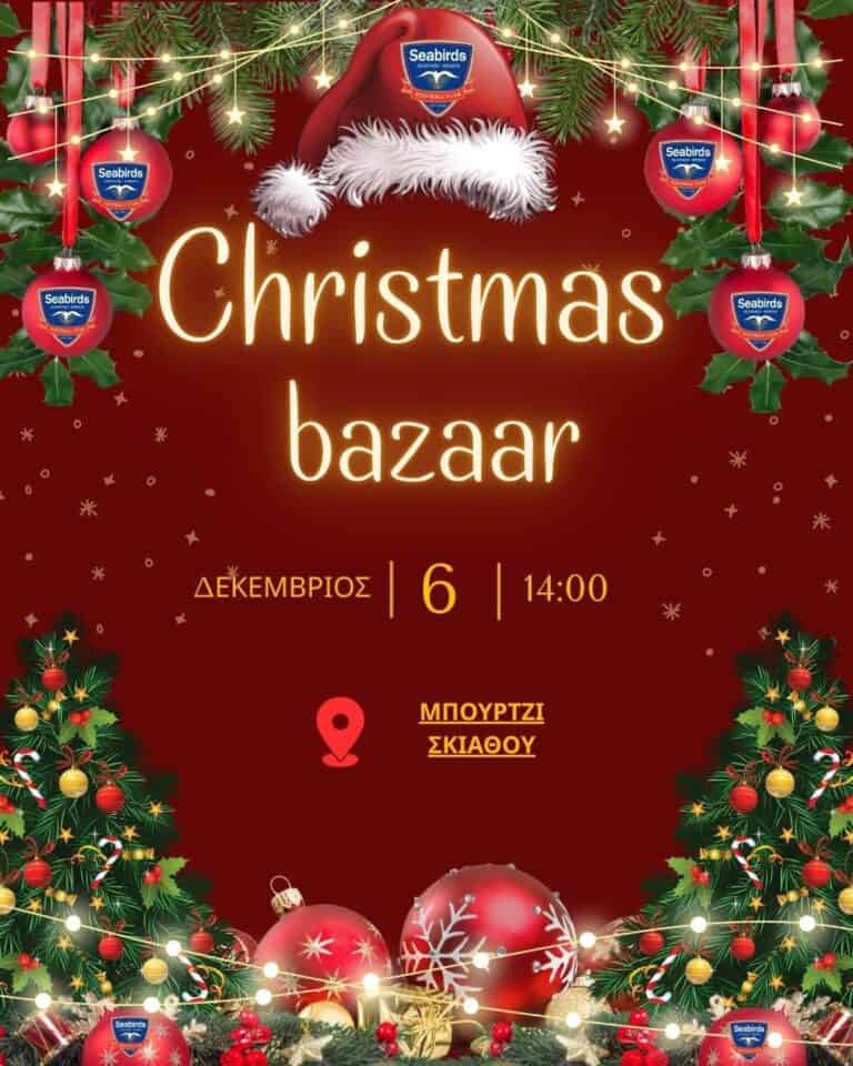 Christmas Bazzar – seabirds