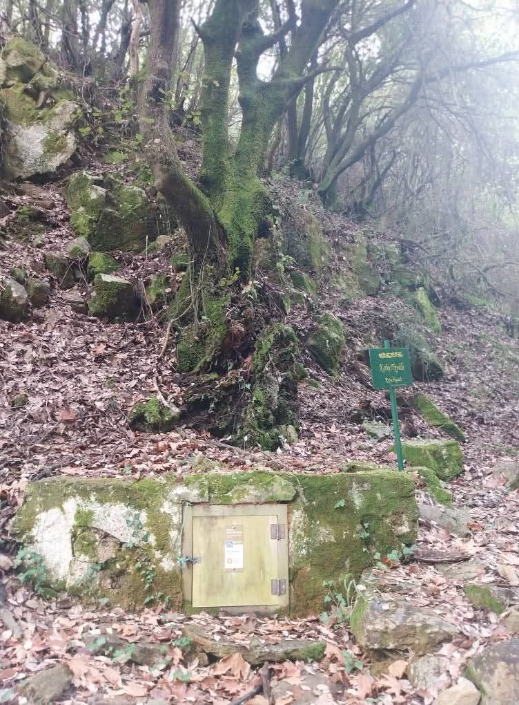 TO ΠΗΓΑΔΙ ΤΩΝ ΦΑΝΤΑΣΜΑΤΩΝ…