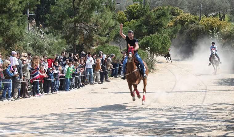 Λαϊκοί Ιππικοί Αγώνες Σκιάθου: Παράδοση, Ταυτότητα και το Στοίχημα της Συνέχειας