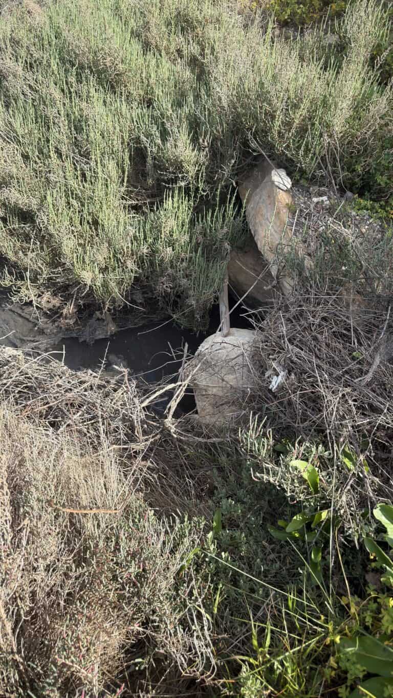 Αυτοψία της Αποκεντρωμένης Διοίκησης στη Σκιάθο μετά από καταγγελίες της αντιπολίτευσης για περιβαλλοντικά ζητήματα