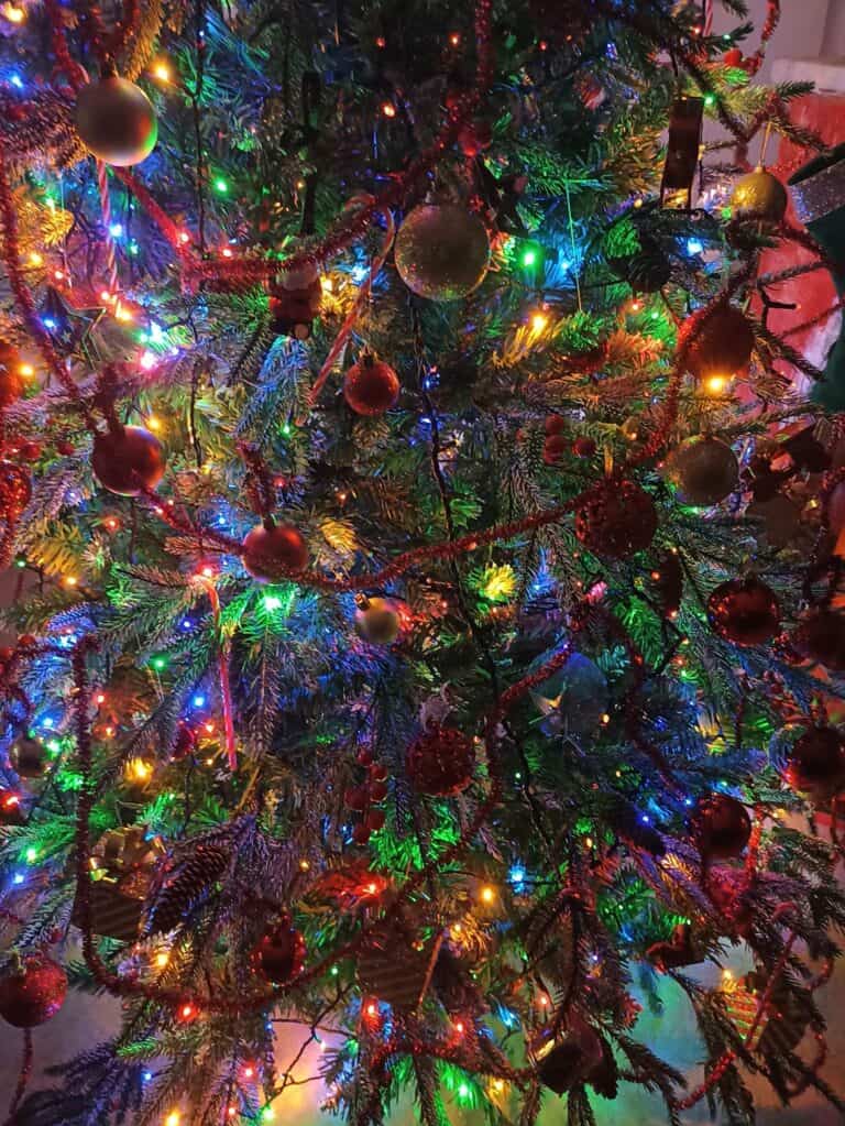 Προβολές στο 3ο Νηπιαγωγείο Σκιάθου