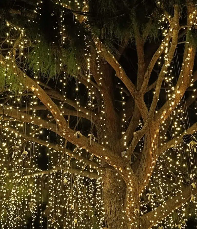 Χριστούγεννα στην Σκιάθο: Ας στηρίξουμε όλοι μαζί