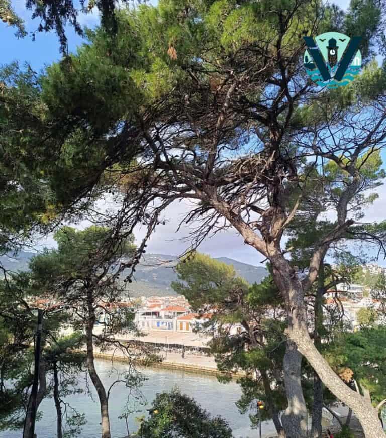 Καλημέρα και καλή εβδομάδα!