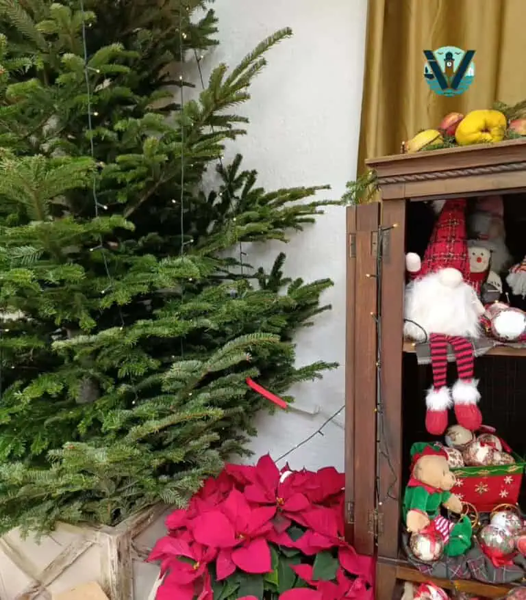 Χριστουγεννιάτικες εικόνες που μυρίζουν γιορτές…