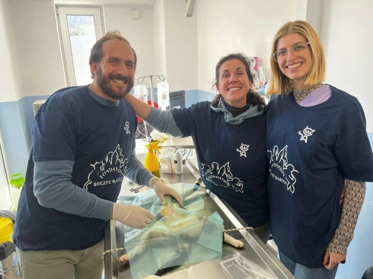 Διεθνής αλληλεγγύη: το Ίδρυμα Brigitte Bardot ασχολείται επί τόπου στην Ελλάδα