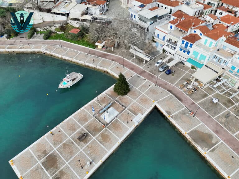 Φεβρουάριος μπήκε, το χριστουγεννιάτικο δέντρο έμεινε στο παλιό λιμάνι