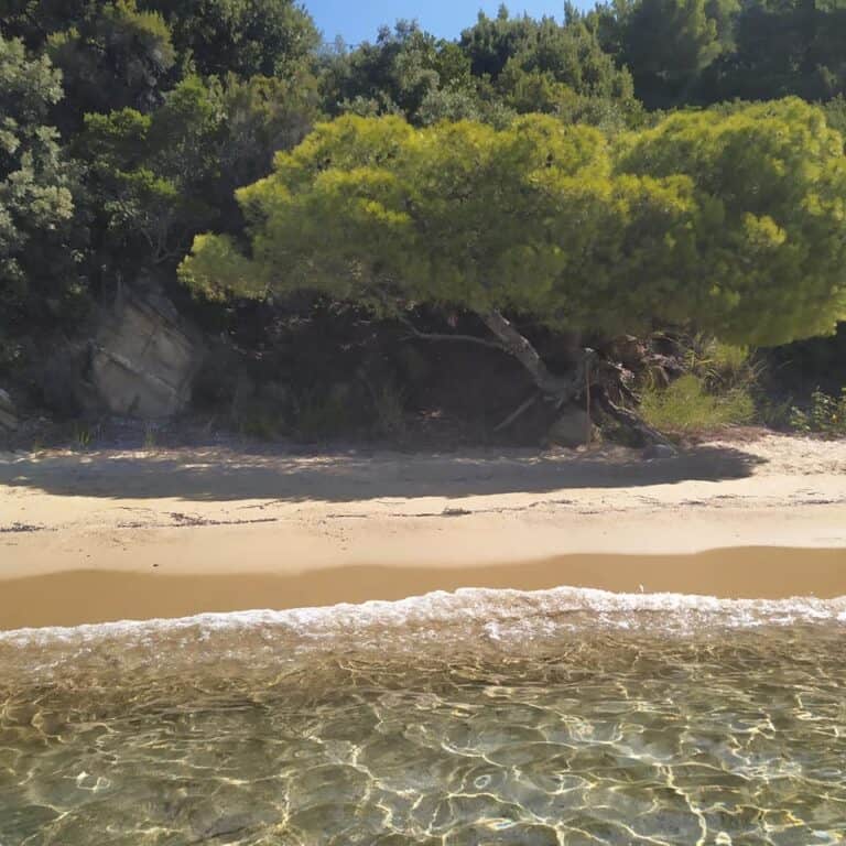 ΠΩΣ ΠΗΡΕ ΤΟ ΟΝΟΜΑ ΤΗΣ Η ΣΚΙΑΘΟΣ