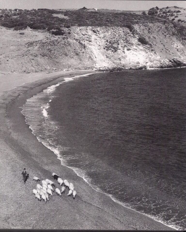 ΞΑΝΕΜΟ ΚΑΙ ΠΑΠΑΔΙΑΜΑΝΤΗΣ *