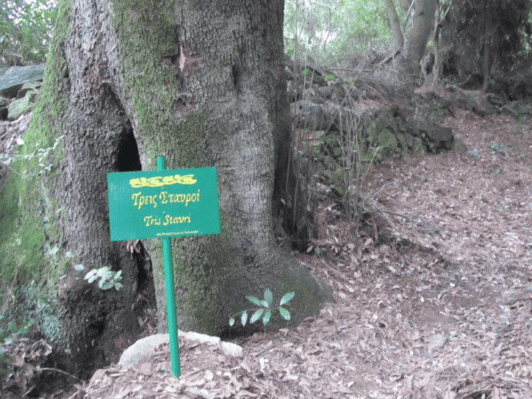 O TOΠΟΣ ΤΗΣ ΘΥΣΙΑΣ ΤΟΥ ΦΤΩΧΟΥ ΑΓΙΟΥ