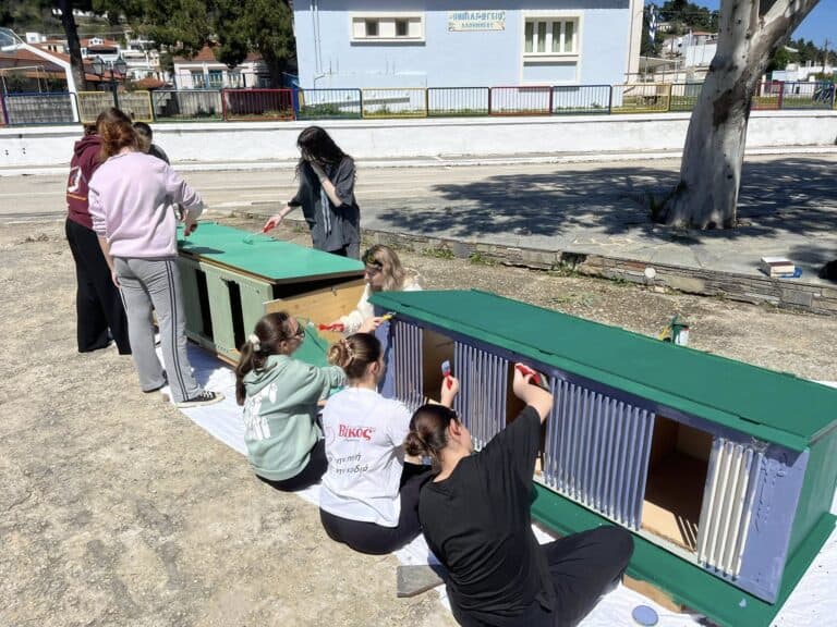 Νέα δράση κατασκευής γατόσπιτων από τους Προσκόπους Αλοννήσου