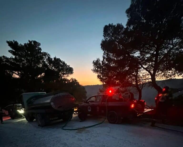 «Βάπτισμα πυρός» για την ομάδα – Άμεση επέμβαση στη φωτιά στην Κοκκινόγια Σκιάθου