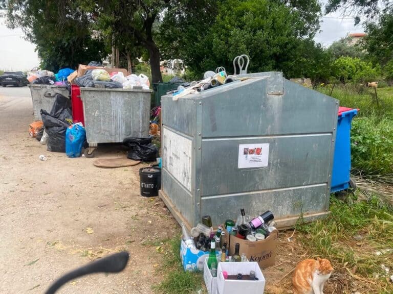 Αγανάκτηση κατοίκων για κάδους απορριμμάτων σε χώρο στάθμευσης στη Σκιάθο