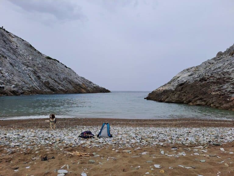 H ΑΓΡΟΤΙΚΗ ΟΔΟΠΟΙΙΑ ΣΤΗ ΣΚΙΑΘΟ KAI TA ΛΑΛΑΡΙΑ ΣΤΟ ΛΕΧΟΥΝΙ